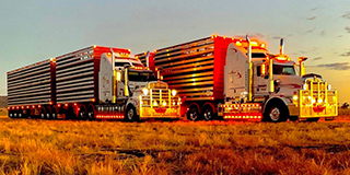 Thompsons Livestock Transport Trucks